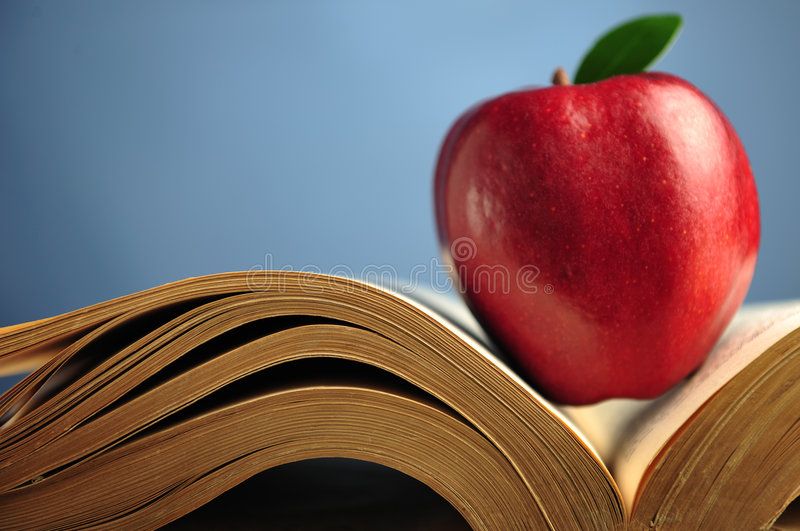 Język polski korepetycje Toruń MATURA, EGZAMIN 8klasa EGZAMINATOR