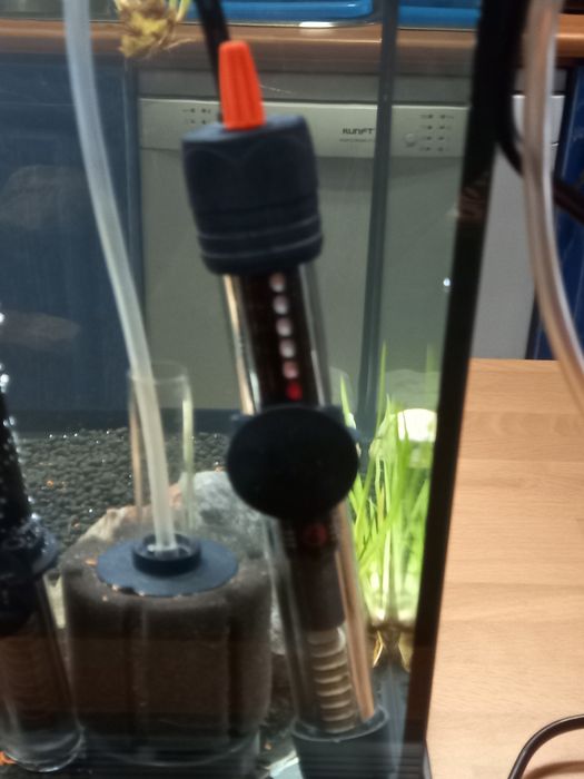 Termostato para aquario como novo