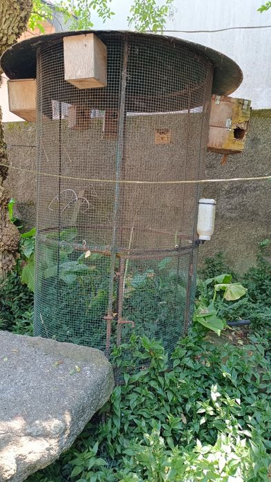 Gaiolas para aves