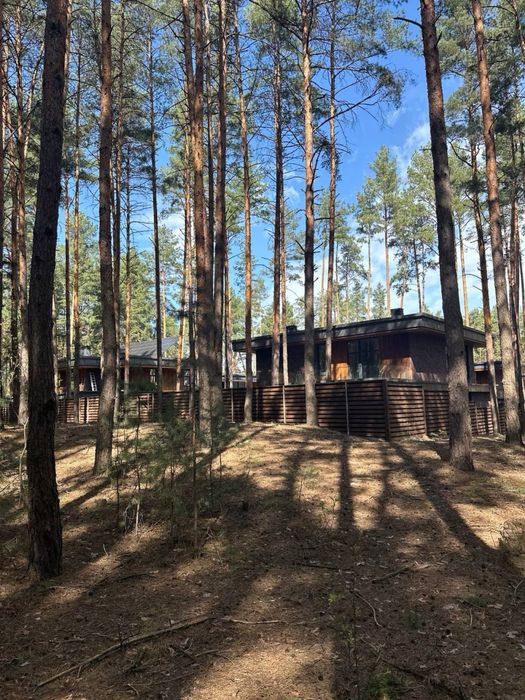 Продаж ексклюзивного будинку в лісі.