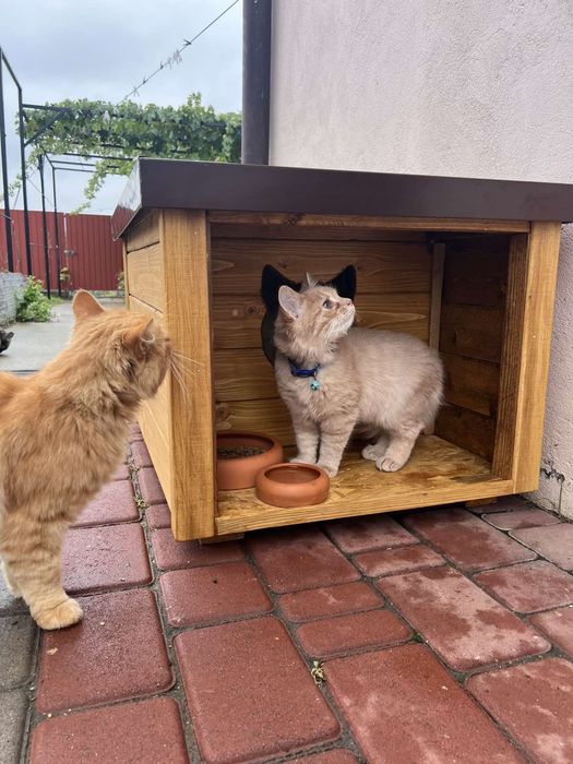 Будиночок для котів, собак / домик для котов и собак