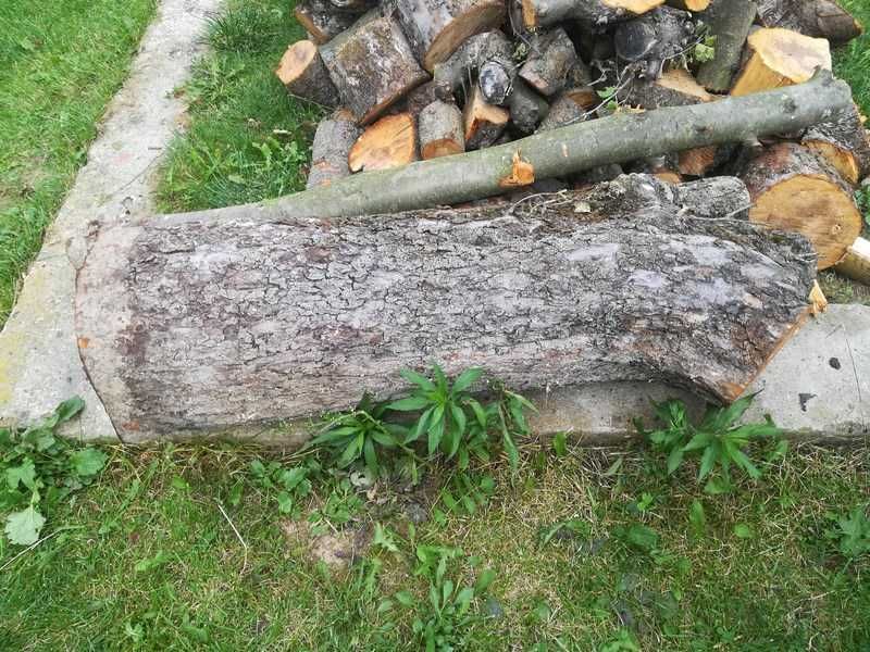 Jabłon - pień, drzewo, drewno na stół