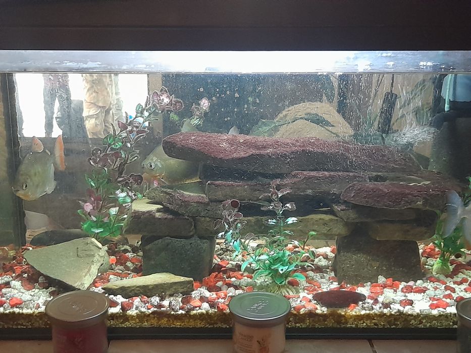 Akwarium 112L zestaw