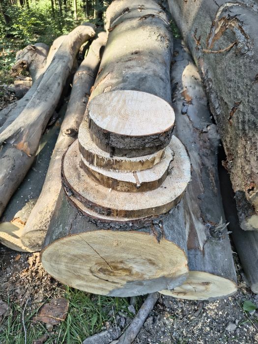 Plastry drewna 6 sztuk