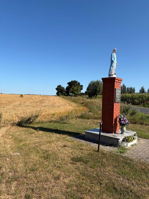Działka 5000 m² przy drodze asfaltowej – Mełpin, gm. Dolsk