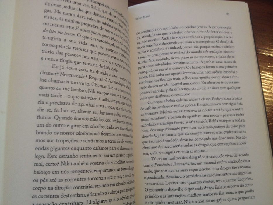 Dana Spiotta - Stone Arabia, as crónicas secretas de Nik Worth