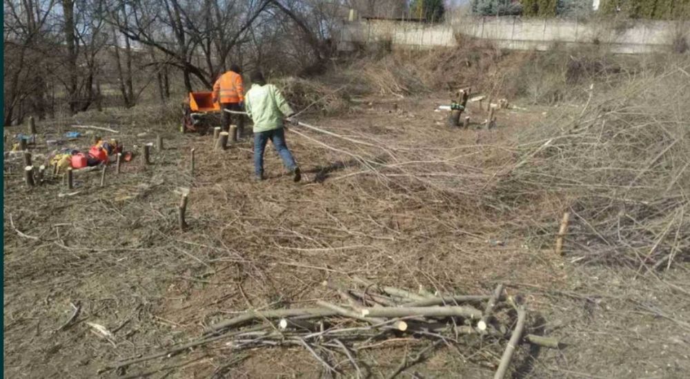 Прибирання територій Уборка УЧАСТКА  Розчищення  Спил дерева ДЕМОНТАЖ