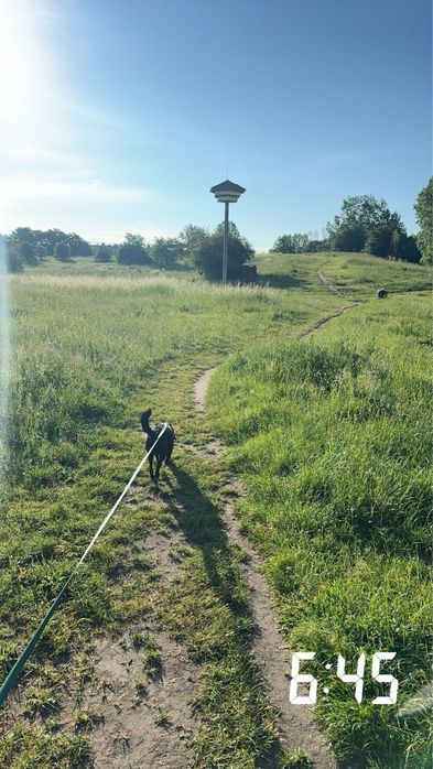 Hotel dla zwierzat / Petsistter