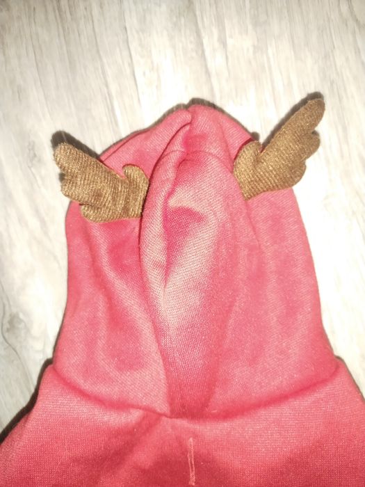 Кофточка на собачку