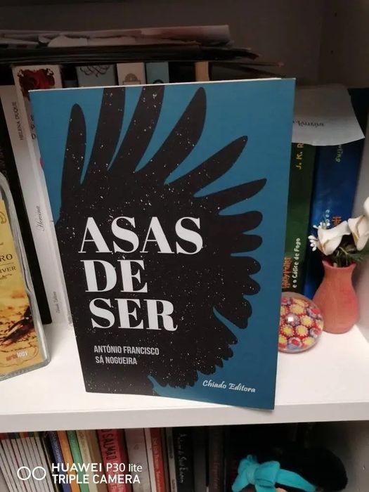 Livro Asas de ser