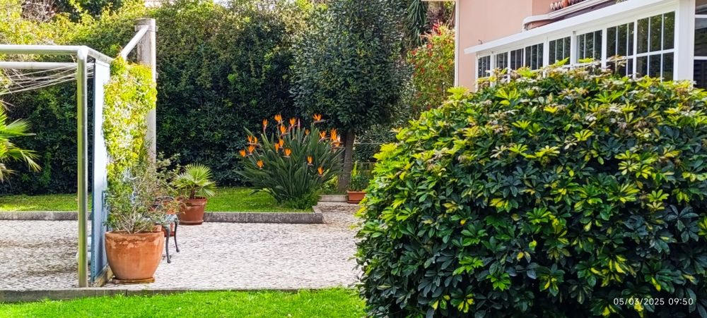 Construção e Manutenção de Jardins