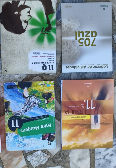 Livros escolares vários
