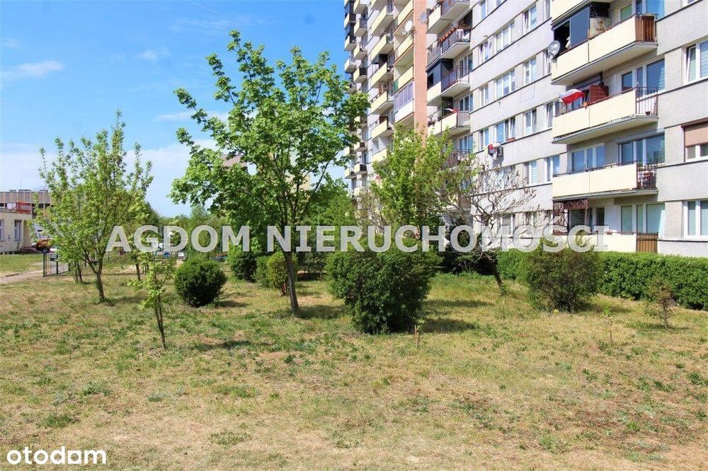 39 M kw przy lesie