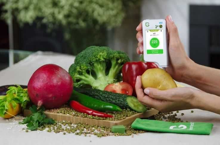 Greentest ECO 6T Тестер харчових продуктів, якості води та радіації.