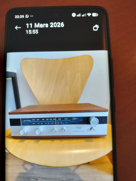 Amplificador e Turner