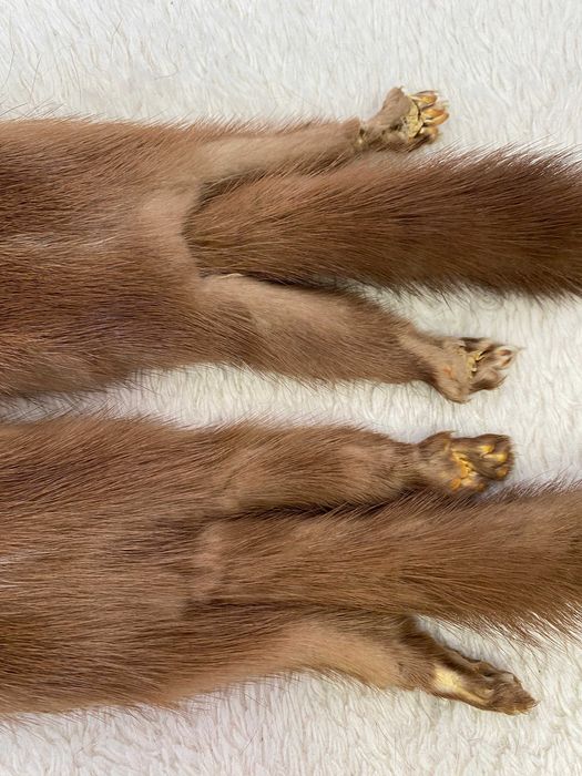 мех норки с лапками