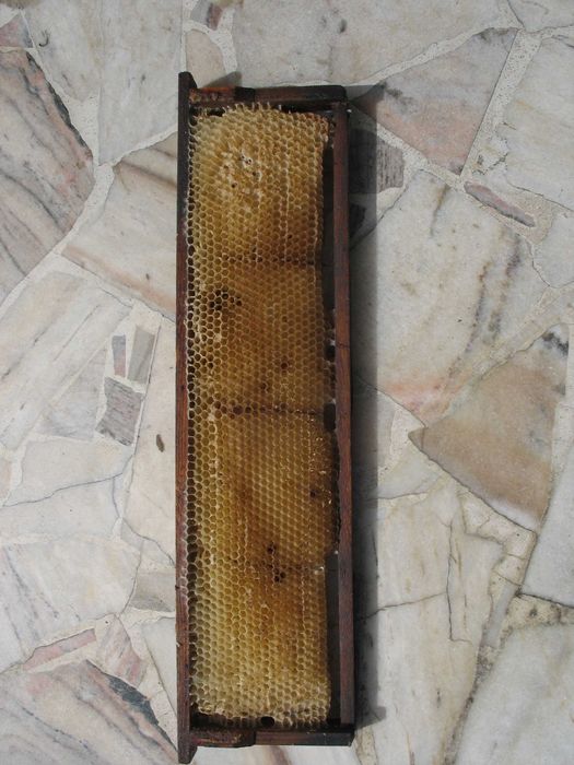 Ramka z suszem do korpusów Apipol 1/2 Langstroth 1/2