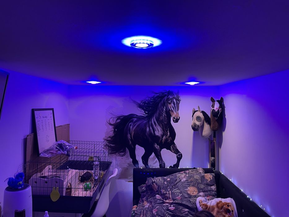 Zamienie ładne mieszkanie