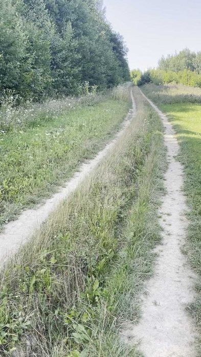 Продам земельну ділянку 25 сотих у с. Вербовець, Косівський р-н