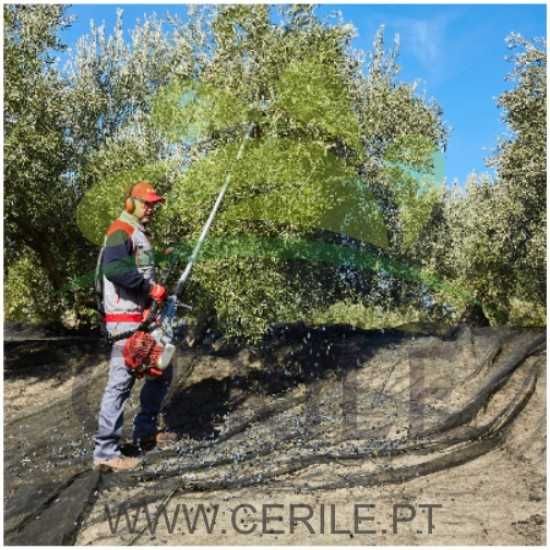 Maquina para Varejar azeitona Cifarelli SC 904 R