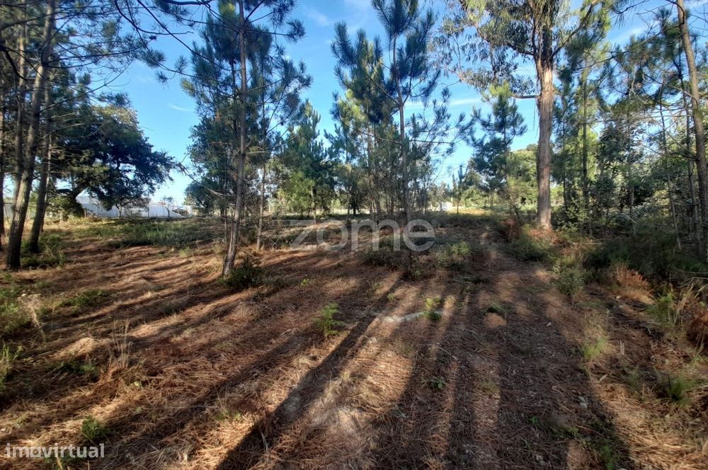 Terreno Rustico