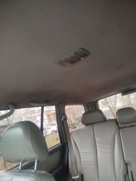 Таракан для бездоріжжя