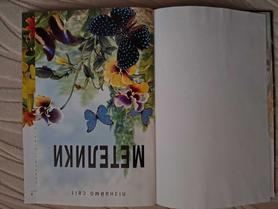 Метелики Шкільний путівник