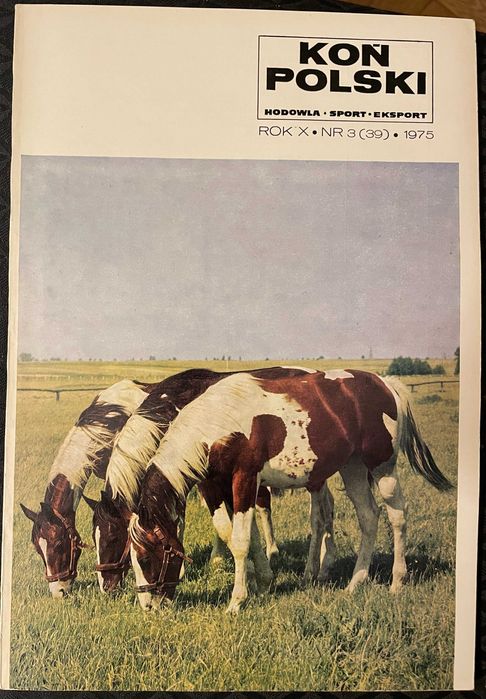 Koń Polski. Rocznik 1975