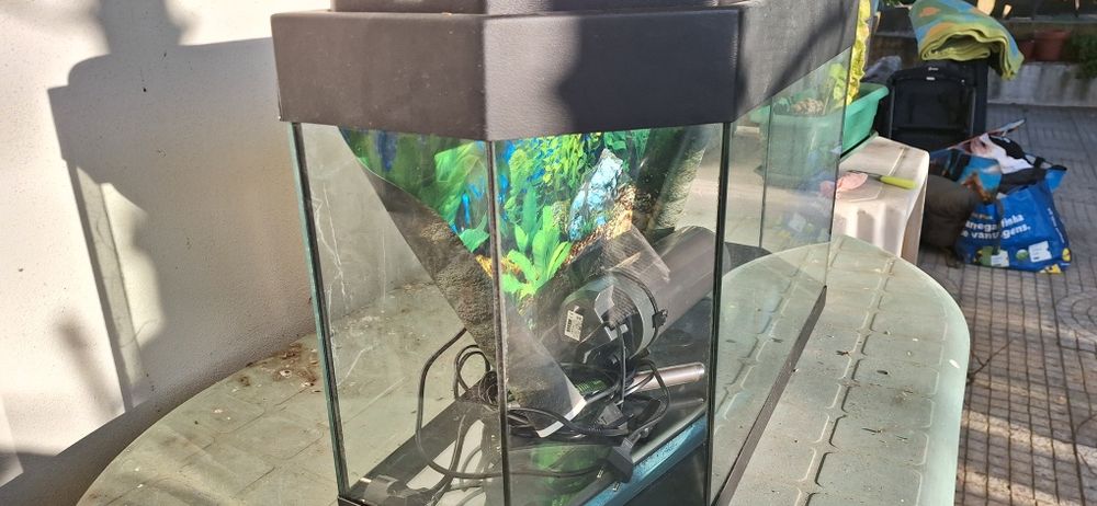 Aquário panorâmico