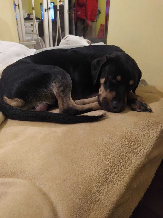 Mãe e filho porte médio