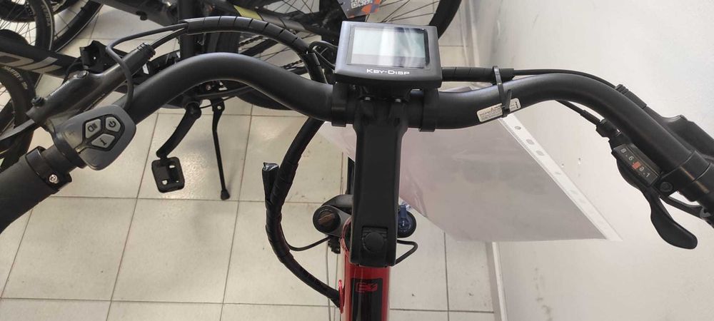 Bicicletta Elettrica E-Bike da città marca Colver Modello Groenlandia