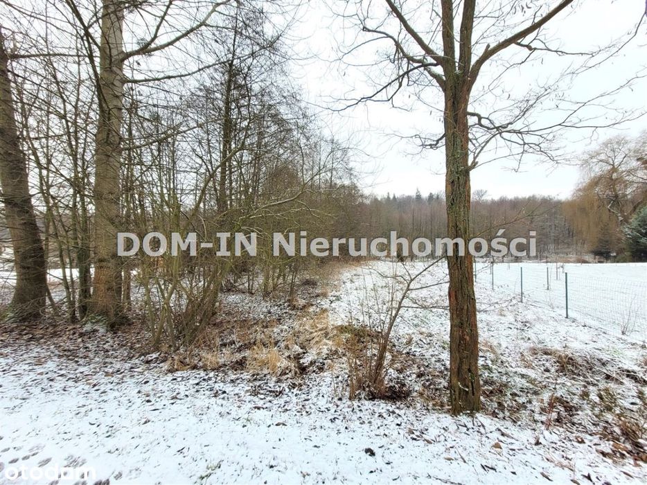 Działka budowlano rolna w Zebrzydowicach