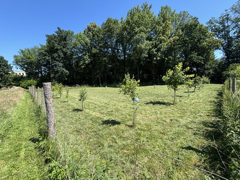 Działki budowlane Łąka Prudnicka