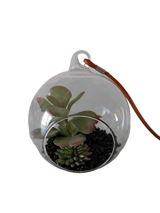 Terrário vidro com planta