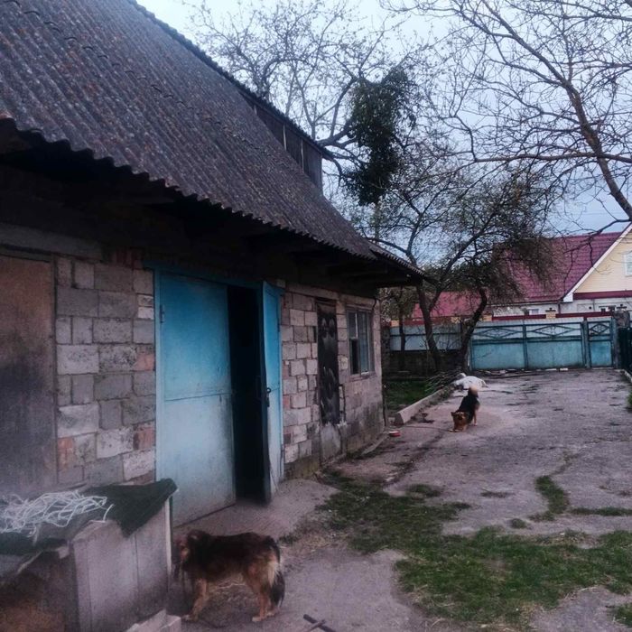 Будинок  в передмісті Житомира село Пряжів