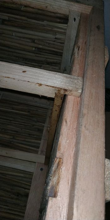 Корпуси з камишa.