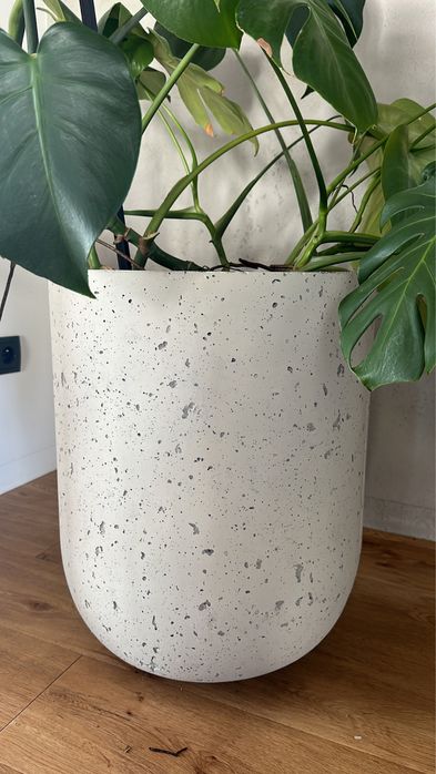 Donica dotee betonowa okrągła beton architektoniczny doniczka osłonka