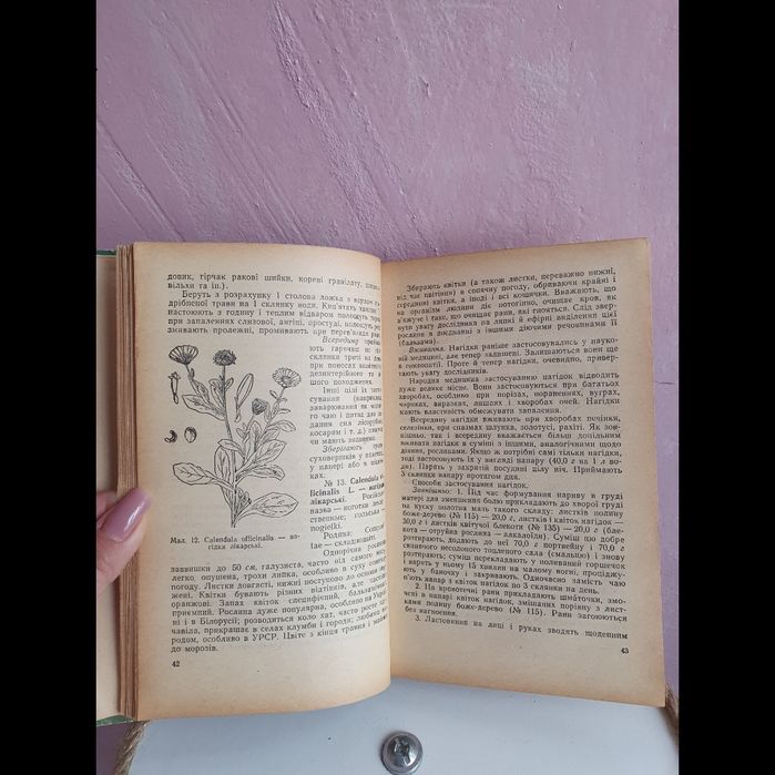 Книга 1964 р Лікарські рослини, М.Носаль