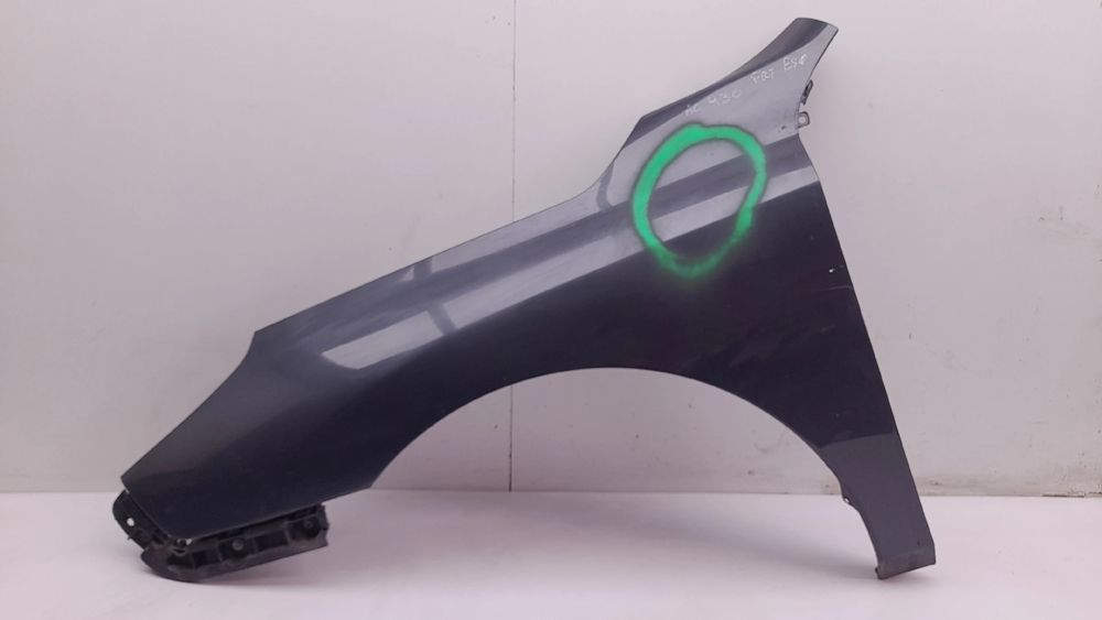 Guarda-lamas esquerdo RENAULT Latitude (L70_)