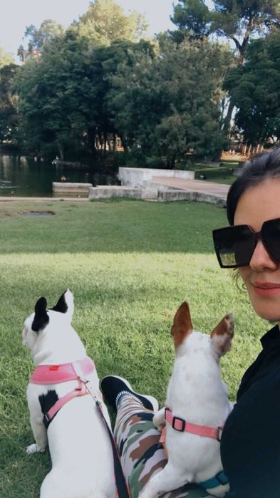 Pet setting, dog walking, day care, Hospedagem cães e passeios