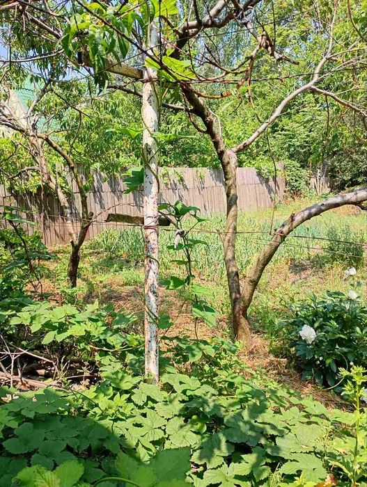 +Продам часть  дома  ул. 12 Апреля район Набережной 32000 дол.