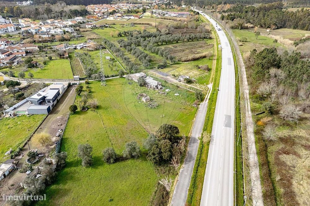 Terreno  para venda — Cantanhede E Pocariça, Coimbra