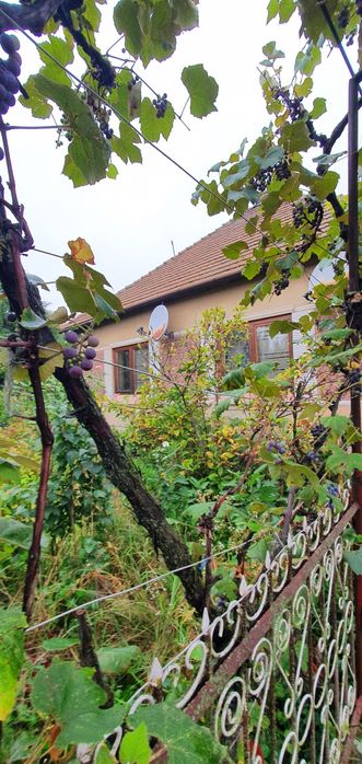 Будинок на високому фундаменті