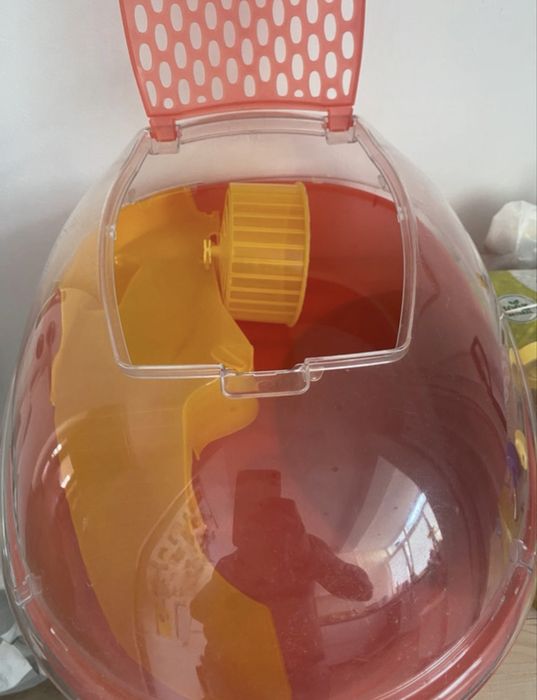 habitat para hamster/ tartarugueira