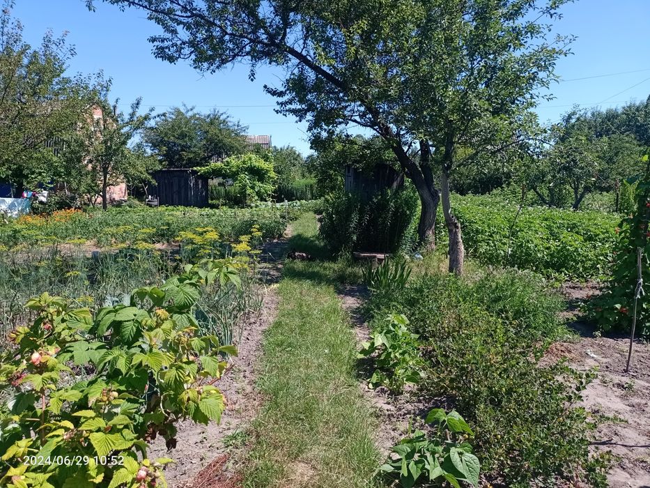 Дачна    ділянка