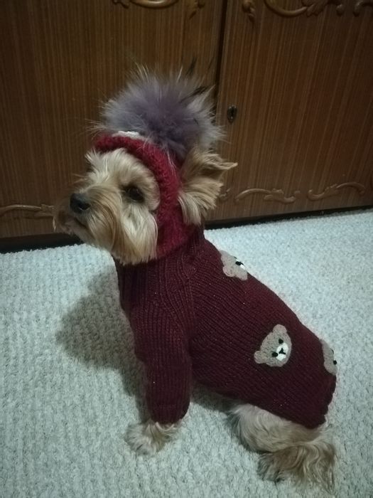 Шапочки для собачек и котиков