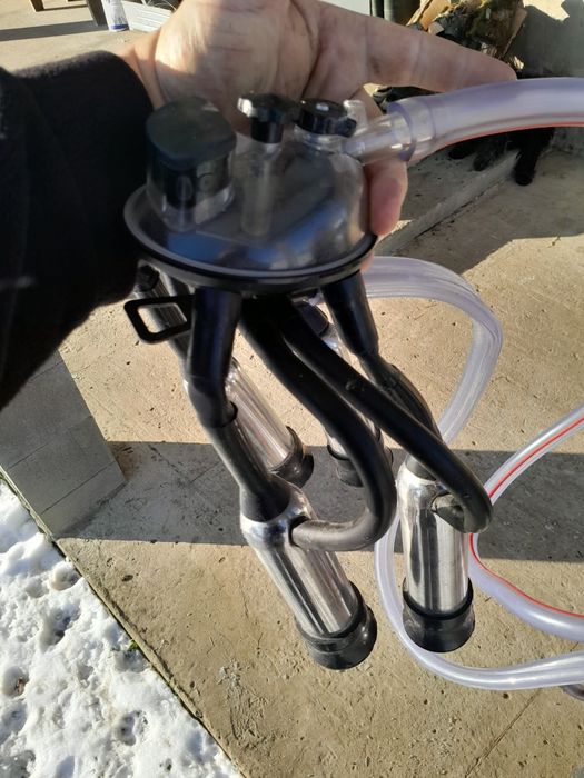 Доїльний апарат.