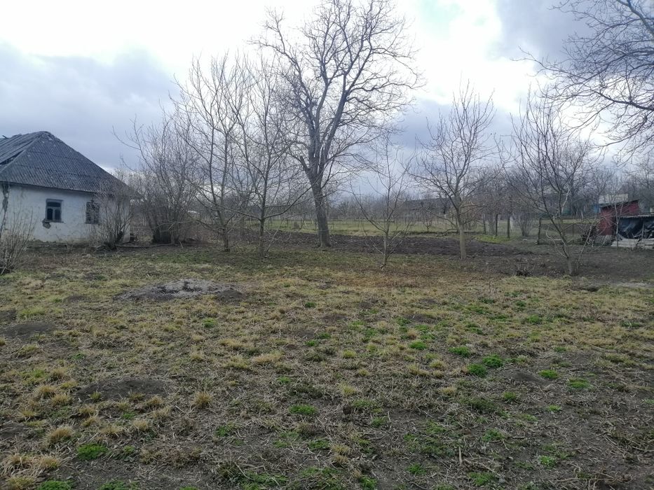 Земельна ділянка