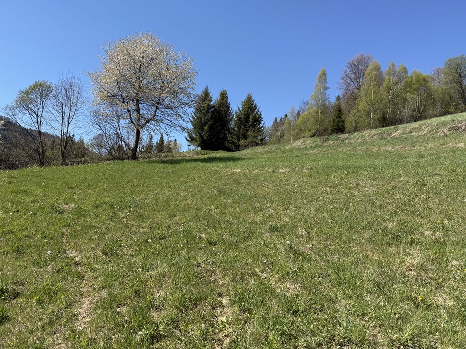 House in Verkhniy Studenyy - View 5