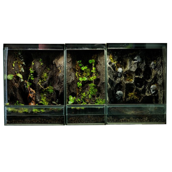Terrarium tropikalne 40x40x60